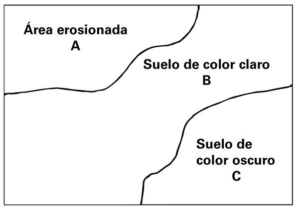 Thumbnail image for Muestrear el suelo cuidadosamente: la clave  para obtener información confiable sobre el análisis de suelo