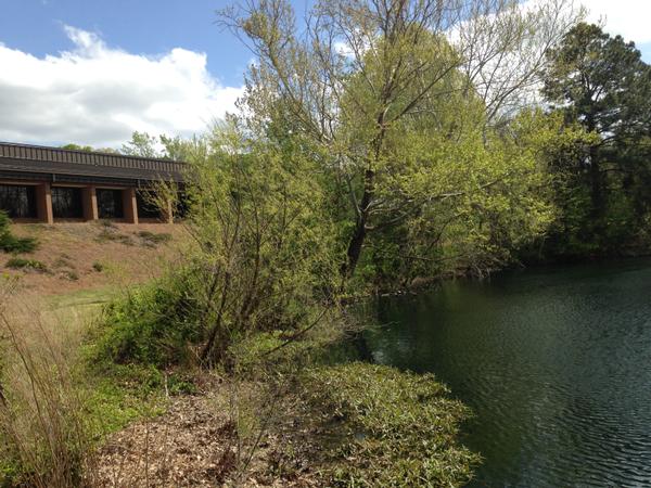 A pond adjacent to an office building
