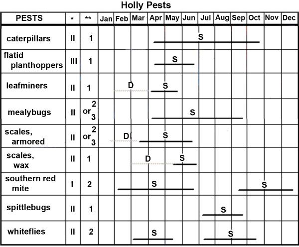 Thumbnail image for Holly Pest Management Calendar