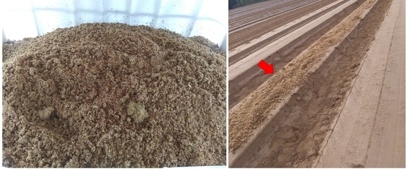 Thumbnail image for Anaerobic Soil Disinfestation for Management of Soilborne Pathogens in Tomato Production