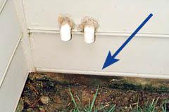 Figure 5. Drain flies can accumulate in areas where air conditio