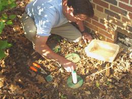 Person sets up bait tube near house foundation